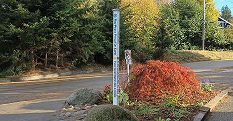 Peace Pole Dedication Ceremony “Fauntleroy Creek Crossing Peace Pole”  Seattle,  Washington – USA