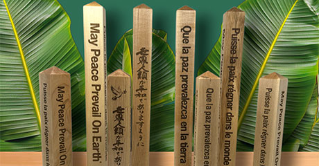 Plant Peace Poles for the International Day of Peace 2025 with our New Desktop Peace Poles