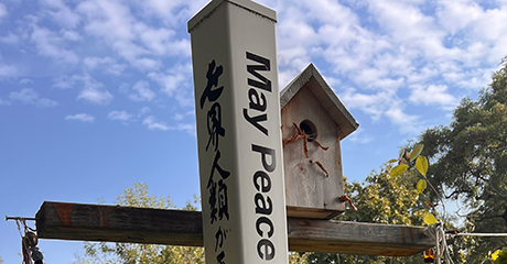 May Peace Prevail on Earth: Friend Gail Burkett Has a Garden Where the Message of Peace Lives Through Every Season.