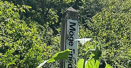Peace Pole Spotted, Millbrook, New York, USA